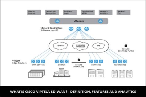 What is Cisco Viptela SD-WAN? - Definition, Features and Analytics