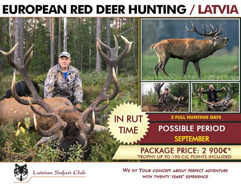 Latvijas Safari Klubs Red Deer Hunting In Latvia 2022