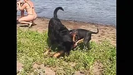 Geile Blonde Wird Im Keller Zwischen Ihrem Dreck Gefickt Feat Red Storm Xhamster