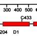 Receptor Protein Tyrosine Phosphatases Six Distinct Types Of Rptps