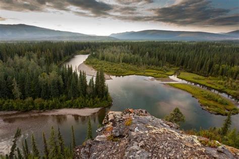 Boreal Forest: Boreal Forest Health And Global Change