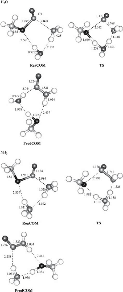 The Optimized Geometries Of Various Complexes And Tss Of One Extra