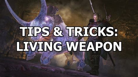 A Brief Overview Of Living Weapon Setups In Nioh Pvp Tips And Tricks