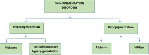 SKIN PIGMENTATION & ITS DISORDERS – Earthy Sapo