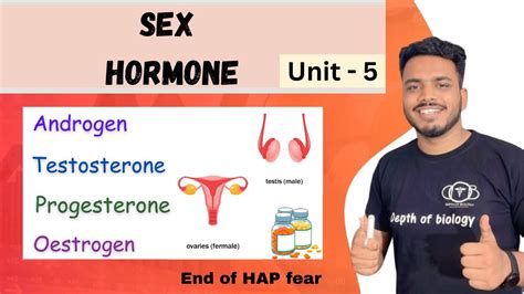 Sex Hormone Sex Hormone Notes Testosteron Androgen