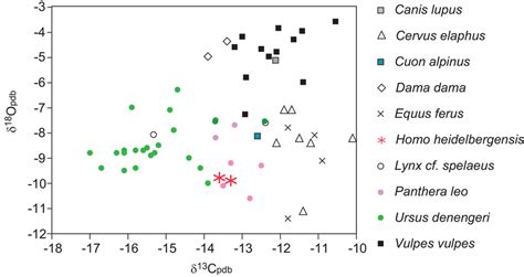 Comparison Of Stable Carbon And Oxygen Isotope Data Of Hominins From