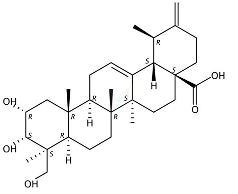 2α 3α 24 Trihydroxyurs 12 20 30 dien 28 oic acid 341503 22 8 四川省维克奇生物科技有限公司