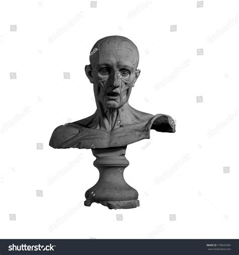 Plaster Statue Naked Man Anatomically Shaped Stock Photo 778643284
