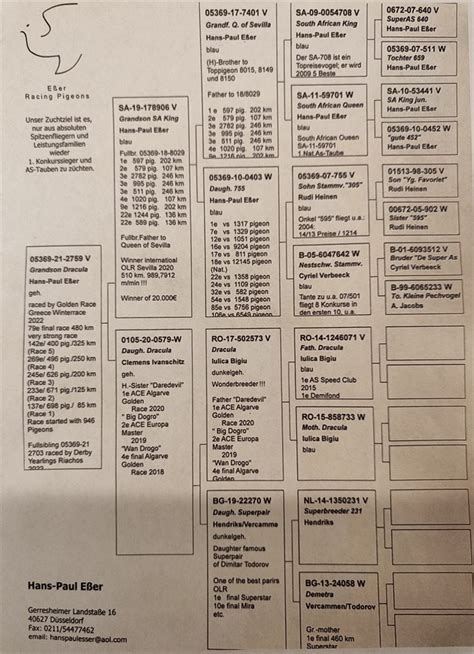 Brieftauben Auktion de V 2759 Orig Hans Paul Eßer