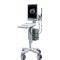 Ecógrafo con soporte compacto Flex Focus 300 BK Ultrasound para