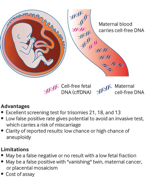 Genetic Testing Of Embryos Pros And Cons