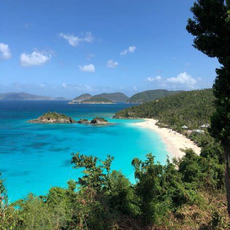 Trunk Bay Virgin Islands National Park All You Need To Know Before