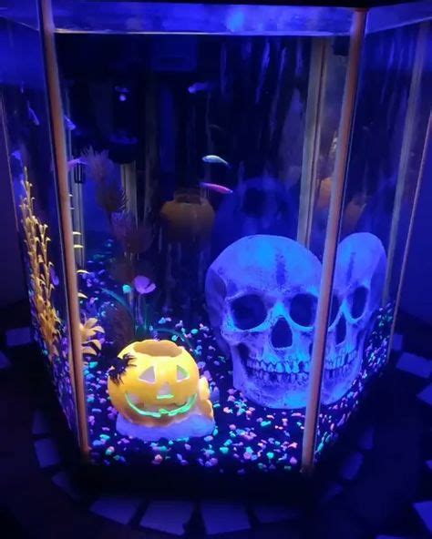 10 Fish Tank Ideas Fish Tank Aquarium Fish Tropical Fish