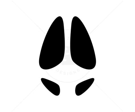 Animal Footprint Vector Illustration