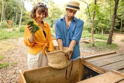 D Marrer Votre Compost En Septembre Nos Conseils Essentiels Pour Les