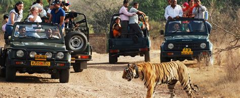 Nights Days Nainital Jim Corbett Tour Package Corbett Nainital Tour