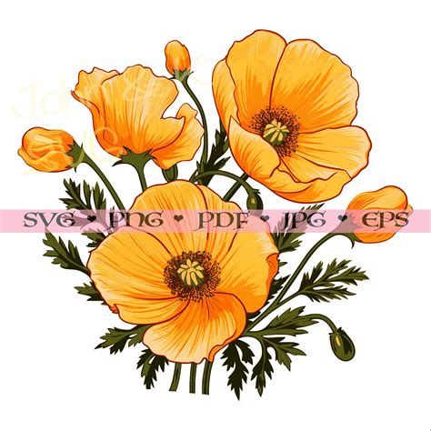 California Poppy Svg Blossom Wall Decor Floral Svg For Shirt Decor