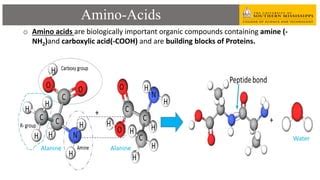 Conformation Of Transmembrane Segments Of A Protein By Coarse Grain