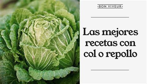 Recetas Con Col O Repollo Muy Sanas Y Sabrosas