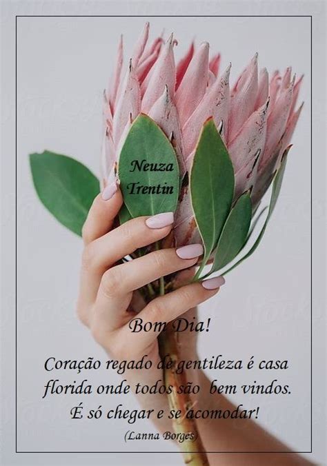 Pin De Rosangela Semprebom Em Bom Dia Frases E Mensagens Frases