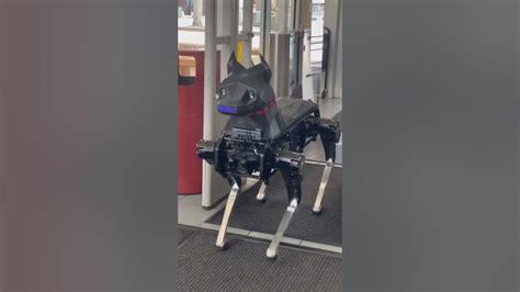 Robot Dog Youtube