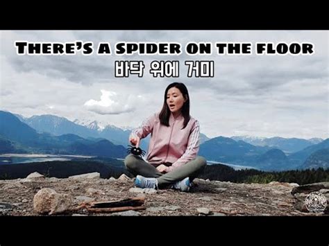 Theres A Spider On The Floor A Silly Song Youtube