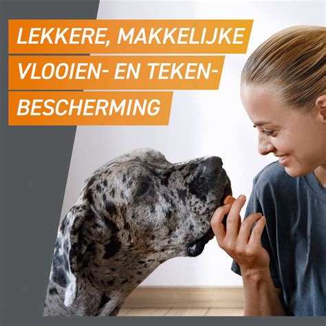 FRONTPRO Kautabletten Kaufen DrPetcare De Ihre Online Tierapotheke