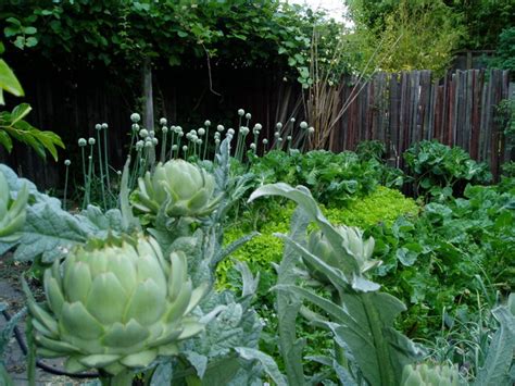 10 Ideas for a Front-Yard Edible Garden Your Neighbors Will Love