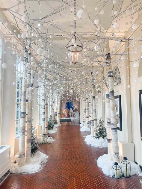 Birch Trees At The White House Birch Christmas Tree Xmas Tree