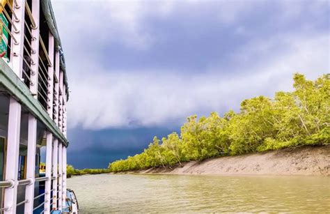 A Lifetime Experience Amidst The Mangrove Forest Sundarban Houseboat