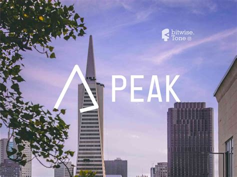 Peak Logo Design by bitwise.Tone on Dribbble