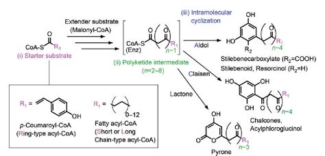 Figure 1 From Discriminating The Reaction Types Of Plant Type Iii