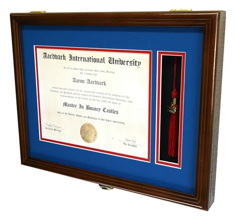 Diploma And Graduation Tassel Display Case Cabinet W Custom Matting