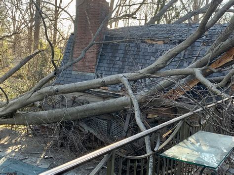 Dc Fire And Ems On Twitter Tree On House Block Millwood Ln Nw