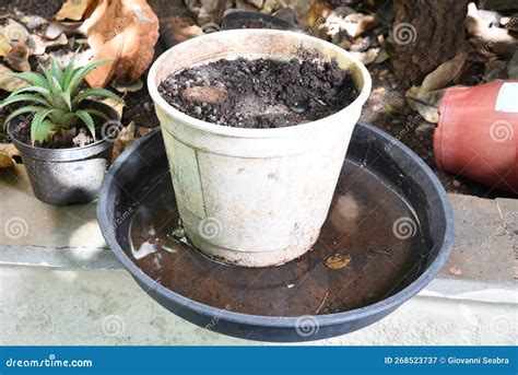 Abandoned Bottle Container With Stagnant Water Inside A Place Of