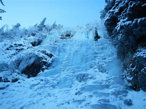 Yukon Alaska Frozen River : pic