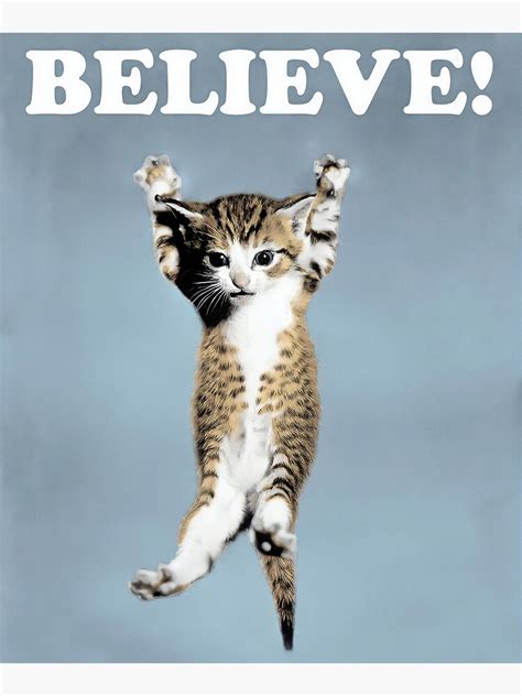 Believe Cat Poster For Sale By Jakegoodwin Redbubble