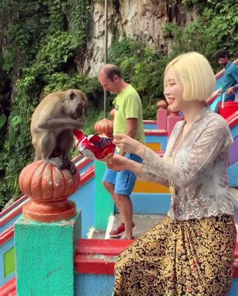 Batu Caves Monkeys Recently Gave Popular South Korean DJ A Very Warm