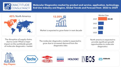 Molecular Diagnostic Market Size Share Demand Trend 2029