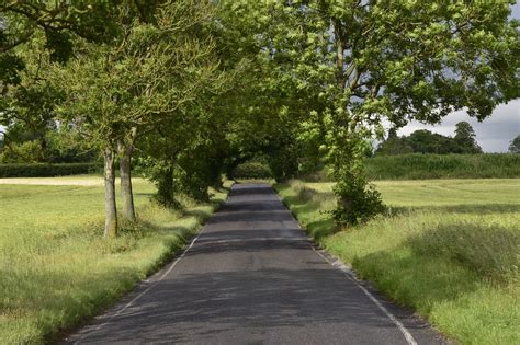 Road Nature Arbres Photo Gratuite Sur Pixabay Pixabay