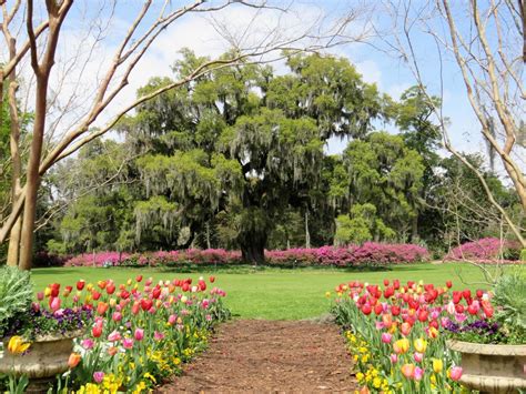 Garden Weddings In Wilmington Nc Gorgeous Outdoor Venues