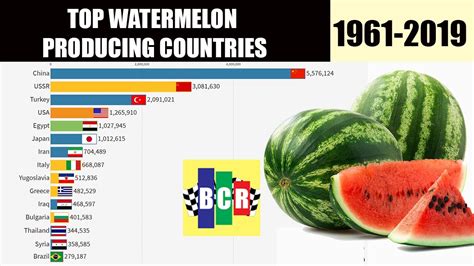 Top 15 Watermelon Producing Countries In Tonnes 1961 2019 Youtube