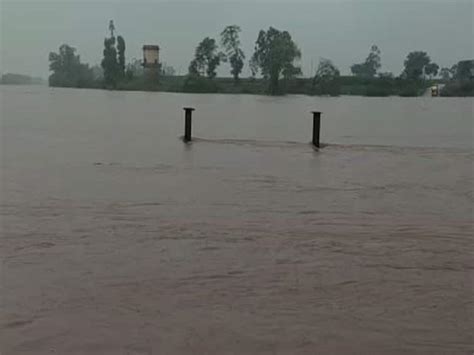 Heavy Rains In Kolhapur Panchganga Water Level Rises By 7 Feet