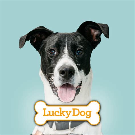 Lucky Dog - YouTube