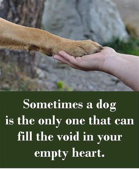 42 Dog Sayings Which Will Touch Your Heart