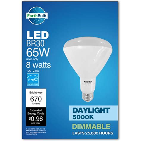 Earthbulb Br Watt Daylight Led Light Bulb Shop Light Bulbs At H E B