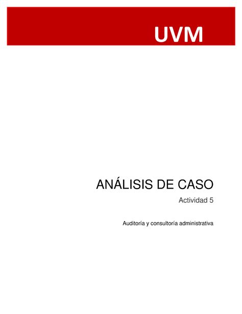 A E A E An Lisis De Caso Actividad Auditor A Y Consultor A