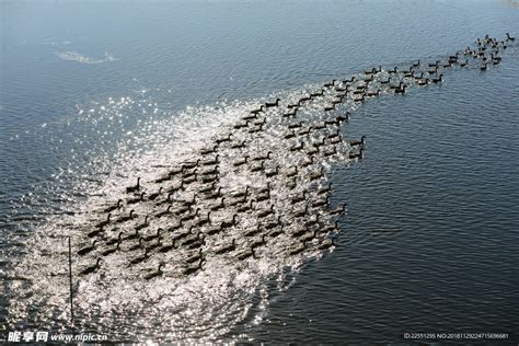 摄影图山水风景自然景观摄影图库昵图网