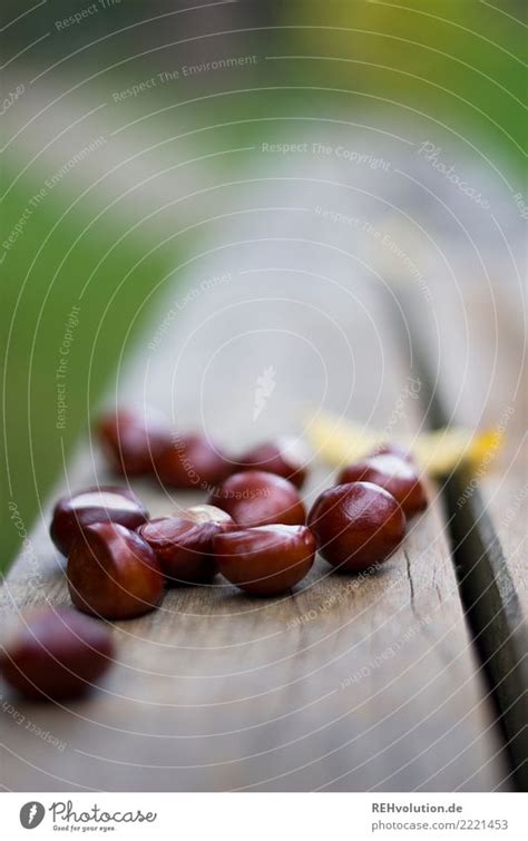 Kastanien Umwelt Natur Ein Lizenzfreies Stock Foto Von Photocase