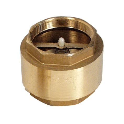 Brass Spring Check Valve T T Pumps